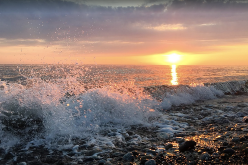 Изображение Лоо #36