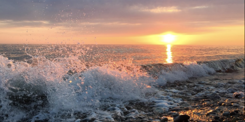 Изображение Лоо #36