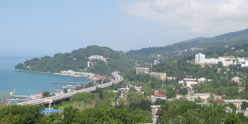 Изображение Хосты #55