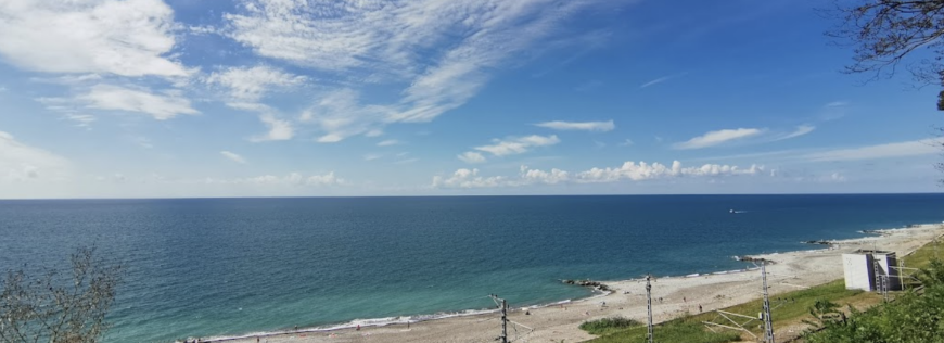 Изображение Вардане #1