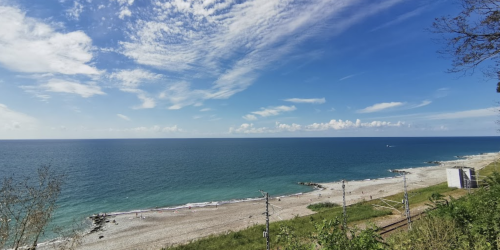 Изображение Вардане #10