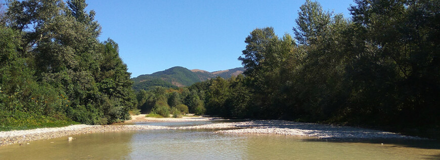 Изображение Пшады #1