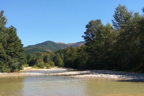 Изображение Пшады #46