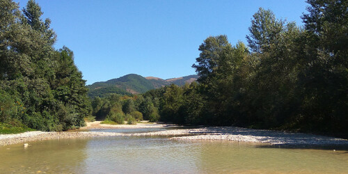 Изображение Пшады #46