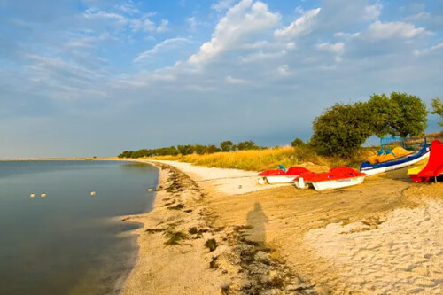 Изображение #16