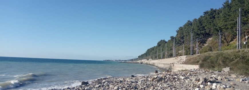 Изображение Волконки #1