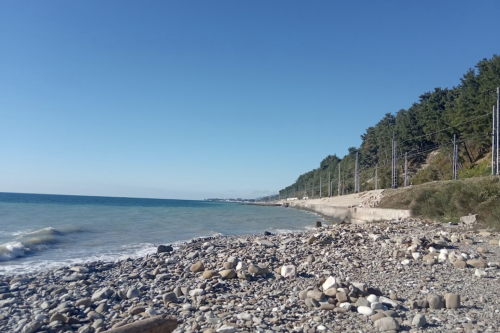 Изображение Волконки #14