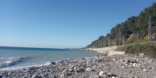 Изображение Волконки #14