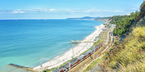 Изображение Шепси #57