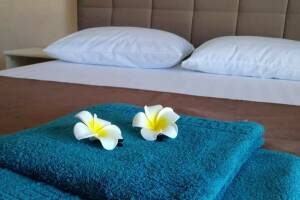 Изображение Изображение гостиницы "Вилла «Дарина»" #9 #1