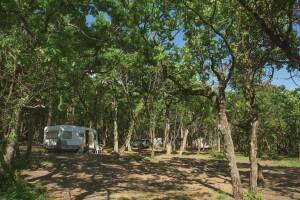 Изображение Изображение гостиницы "Кемпинг «Свежий воздух»" #12 #4