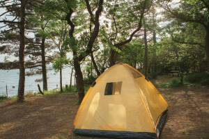 Изображение Изображение гостиницы "Кемпинг «Свежий воздух»" #13 #5