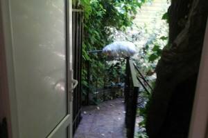 Изображение Изображение гостиницы "Гостевой дом «Под пальмами»" #5 #1