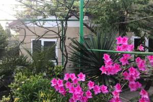 Изображение Изображение гостиницы "Частный дом «Любимый дворик»" #10 #5