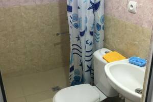 Изображение Изображение гостиницы "Гостевой дом «Elis»" #10 #2