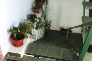 Изображение Изображение гостиницы "Гостевой дом «Terra»" #8 #4