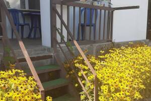 Изображение Изображение гостиницы "Гостевой дом «Ореховая роща»" #9 #1