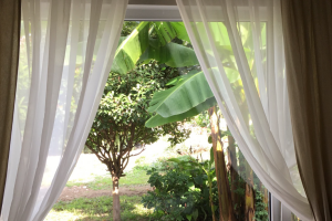 Изображение Изображение гостиницы "Гостиница «Святая Абхазия»" #12 #4