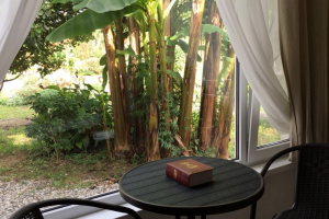 Изображение Изображение гостиницы "Гостиница «Святая Абхазия»" #13 #5