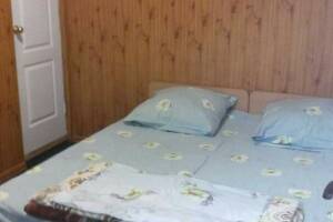 Изображение Изображение гостиницы "Частный двор на пер. Михайловский" #9 #1