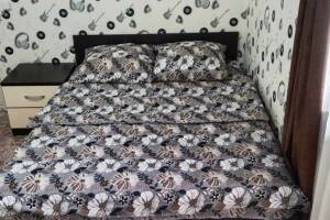 Изображение Изображение гостиницы "Частный двор на пер. Михайловский" #10 #2