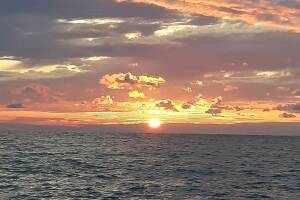 Изображение Изображение гостиницы "Гостевой дом «Две пальмы»" #14 #6