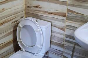 Изображение Изображение гостиницы "Частный сектор «Белый Какаду»" #9 #1