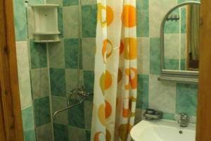 Изображение Изображение гостиницы "Гостевой дом «Alin»" #8 #1