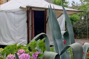 Изображение Изображение гостиницы "Гостевой дом «Бригантина»" #14 #6