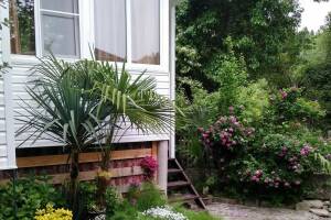 Изображение Изображение гостиницы "Гостевой дом «Вероника»" #11 #3