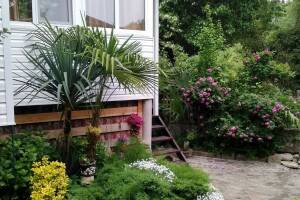 Изображение Изображение гостиницы "Гостевой дом «Вероника»" #13 #5