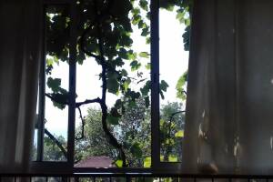 Изображение Изображение гостиницы "Гостевой дом «над Аквалоо»" #9 #1