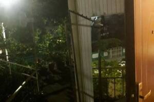 Изображение Изображение гостиницы "Гостевой дом «У Левона»" #18 #10