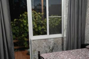 Изображение Изображение гостиницы "Гостевой дом «У Саши»" #11 #3