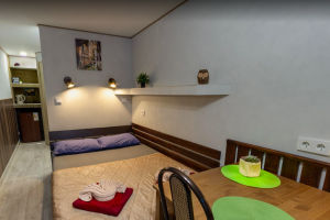 Изображение Изображение гостиницы "Гостевой дом «Фигурный»" #12 #4