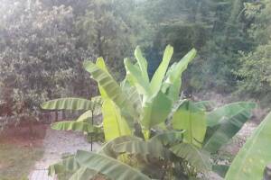 Изображение Изображение гостиницы "Гостевой дом «Диана»" #9 #1