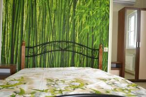 Изображение Изображение гостиницы "Частный сектор «В гостях у Азы»" #12 #4