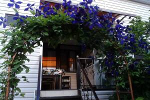 Изображение Изображение гостиницы "Гостевой дом на улице Сочинская" #9 #1