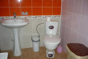 Изображение Изображение гостиницы "Гостевая усадьба «Александр»" #12 #4