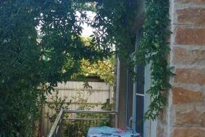 Изображение Изображение гостиницы "Частный сектор «Экзотический рай»" #19 #11