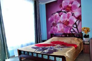 Изображение Изображение гостиницы "Дача «Сафари»" #20 #12