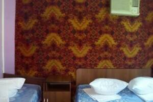 Изображение Изображение гостиницы "Мини-гостиница «На кузнечном 3»" #12 #4