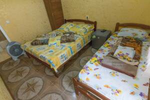 Изображение Изображение гостиницы "Гостевой дом «Цветочный рай»" #9 #1