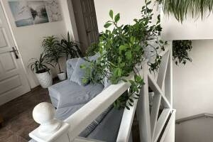 Изображение Изображение гостиницы "Гостевой дом «Штиль»" #20 #12