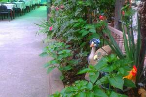 Изображение Изображение гостиницы "Частный дом «Журавлики»" #9 #1