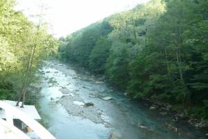 Изображение Изображение гостиницы "Гостевой дом «У реки»" #13 #5