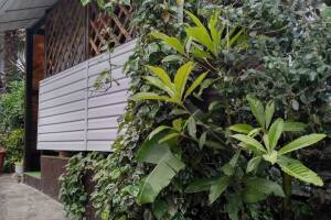 Изображение Изображение гостиницы "Гостевой дом «Вероника»" #15 #7