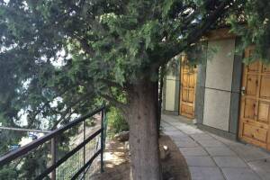 Изображение Изображение гостиницы "Гостевой дом «Kara-Burun»" #13 #5