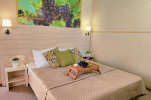 Изображение Изображение гостиницы "Эко-отель «Лоза Хутор All inclusive & SPA»" #9 #1