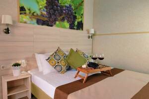 Изображение Изображение гостиницы "Эко-отель «Лоза Хутор All inclusive & SPA»" #11 #3